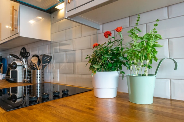 4 formas creativas de usar vegetación en una cocina moderna